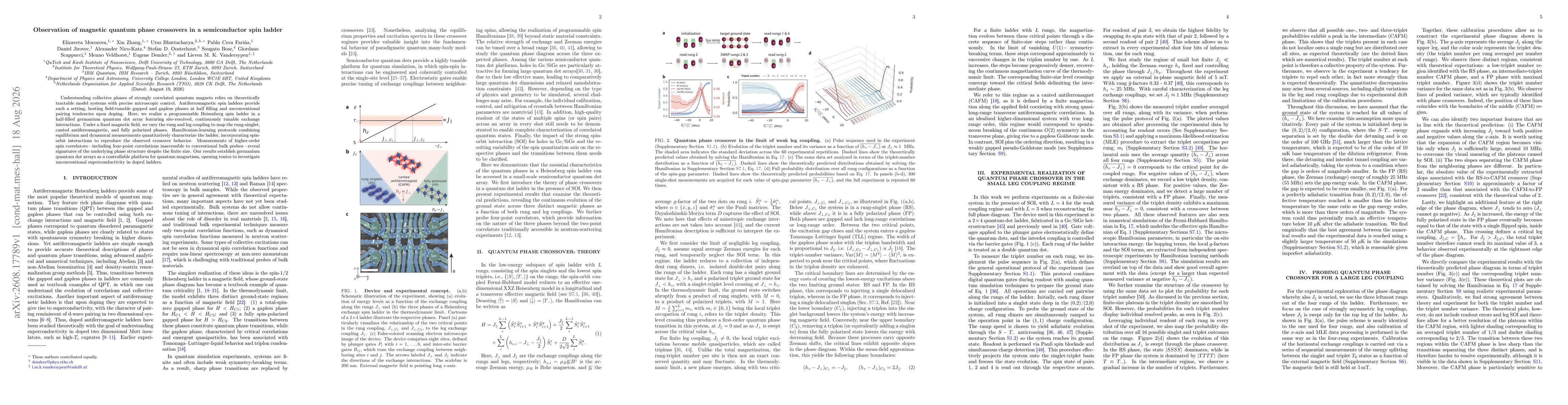 Thumbnail for Observation of magnetic quantum phase crossovers in a semiconductor spin ladder