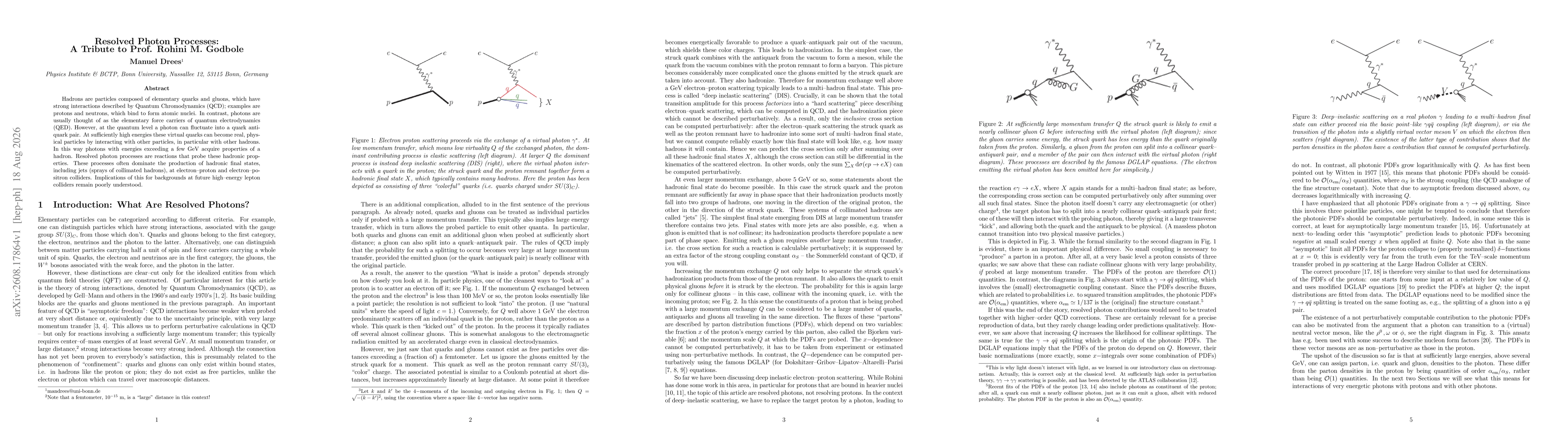 Thumbnail for Resolved Photon Processes: A Tribute to Rohini Godbole