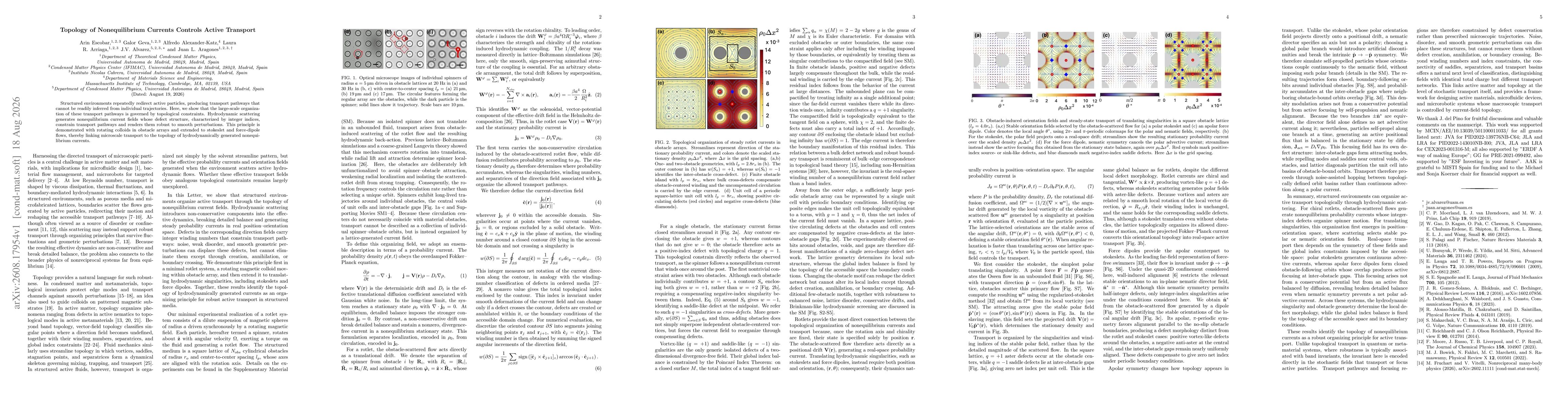 Thumbnail for Topology of Nonequilibrium Currents Controls Active Transport