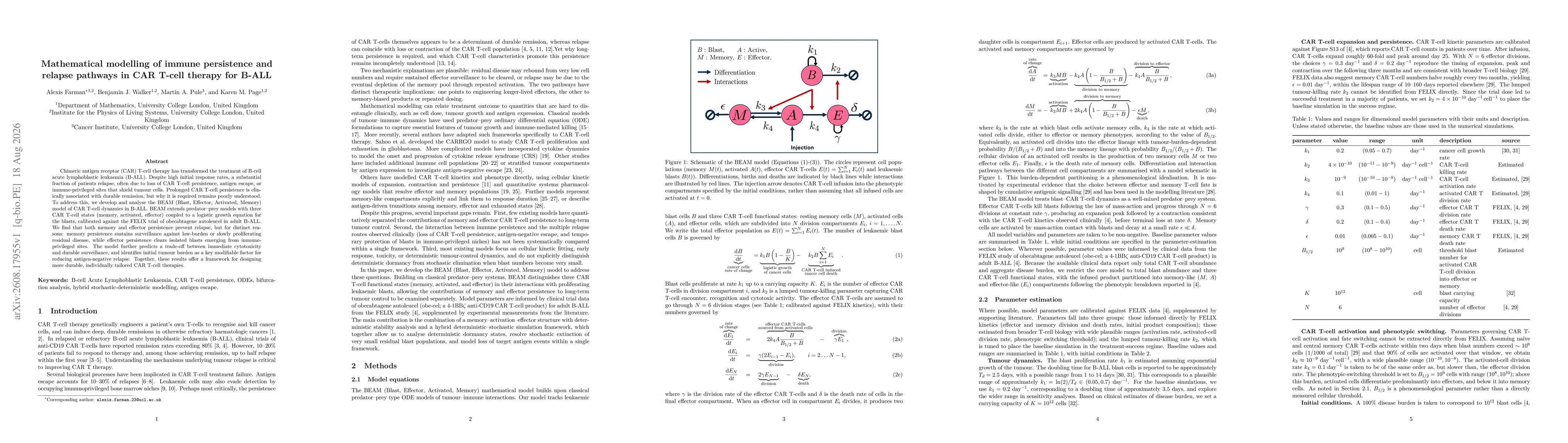 Thumbnail for Mathematical modelling of immune persistence and relapse pathways in CAR T-cell therapy for B-ALL