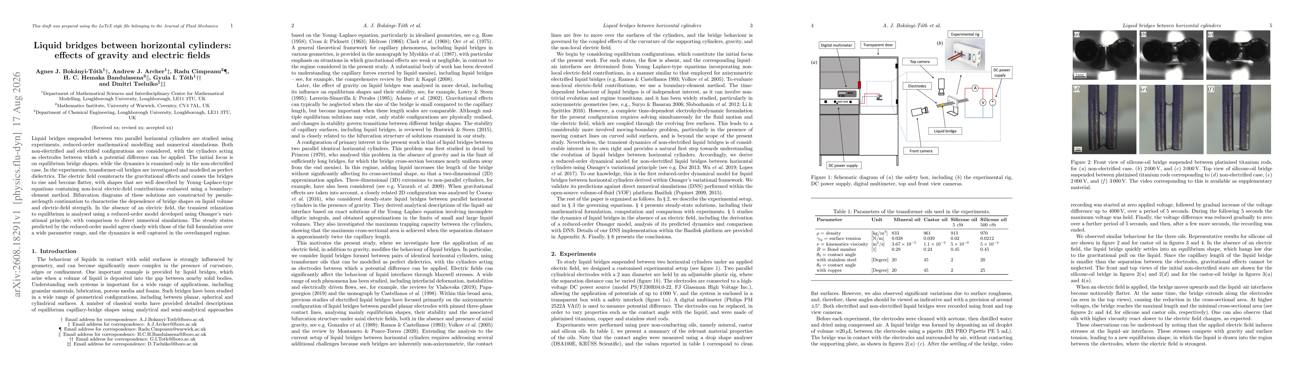Thumbnail for Liquid bridges between horizontal cylinders: effects of gravity and electric fields