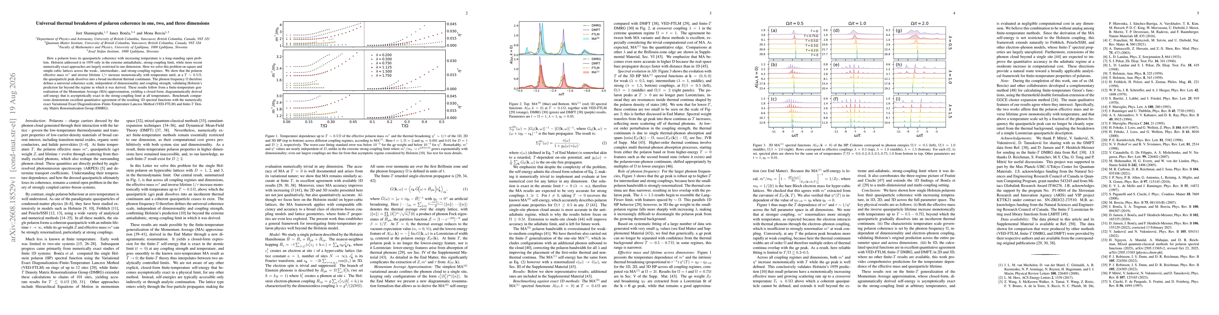 Thumbnail for Universal thermal breakdown of polaron coherence in one, two, and three dimensions