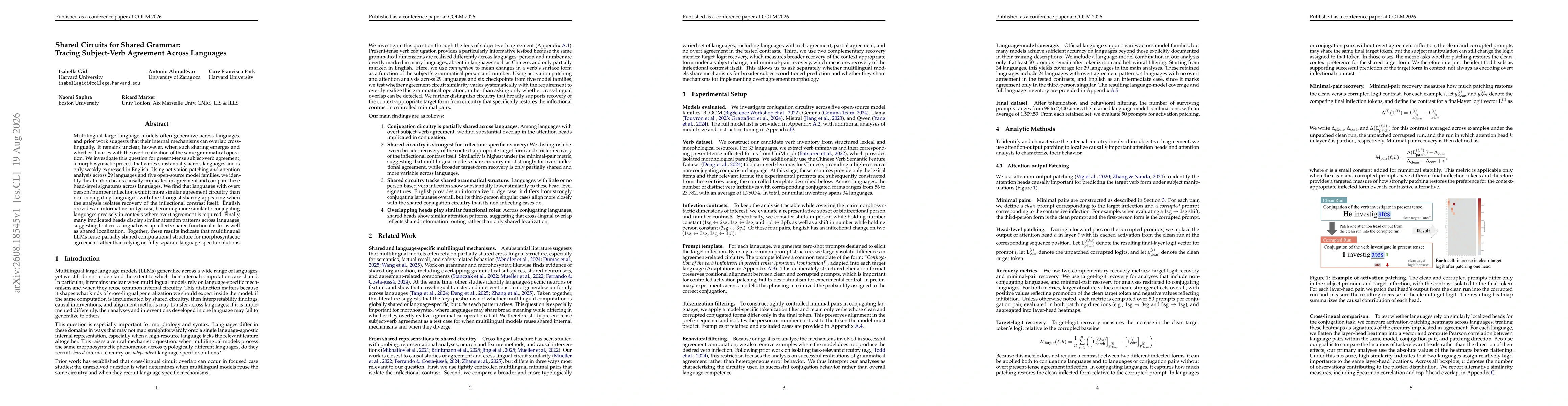 Thumbnail for Shared Circuits for Shared Grammar: Tracing Subject-Verb Agreement Across Languages