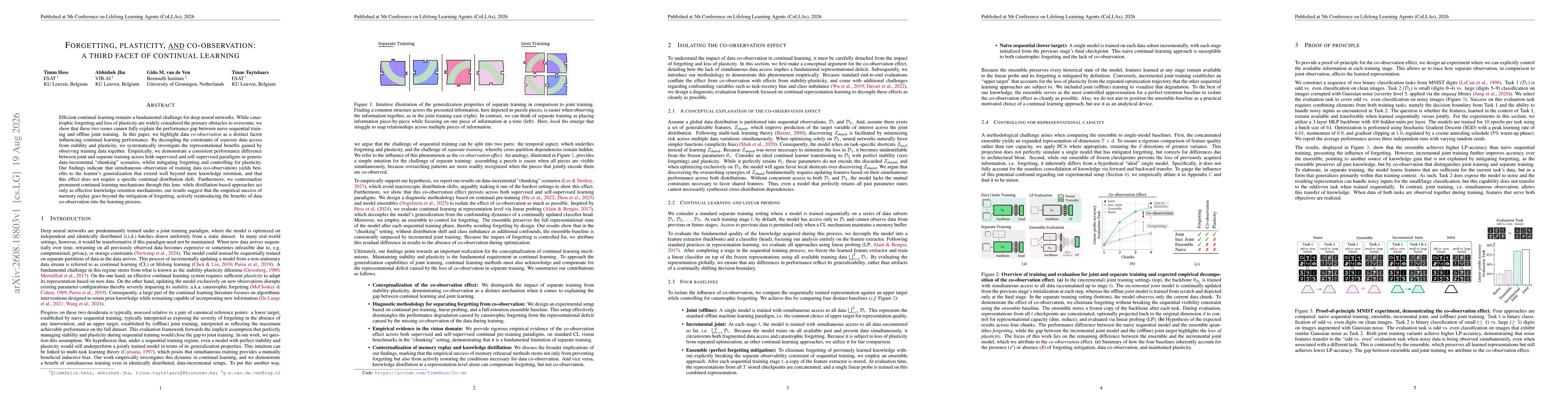Thumbnail for Forgetting, plasticity, and co-observation: a third facet of continual learning