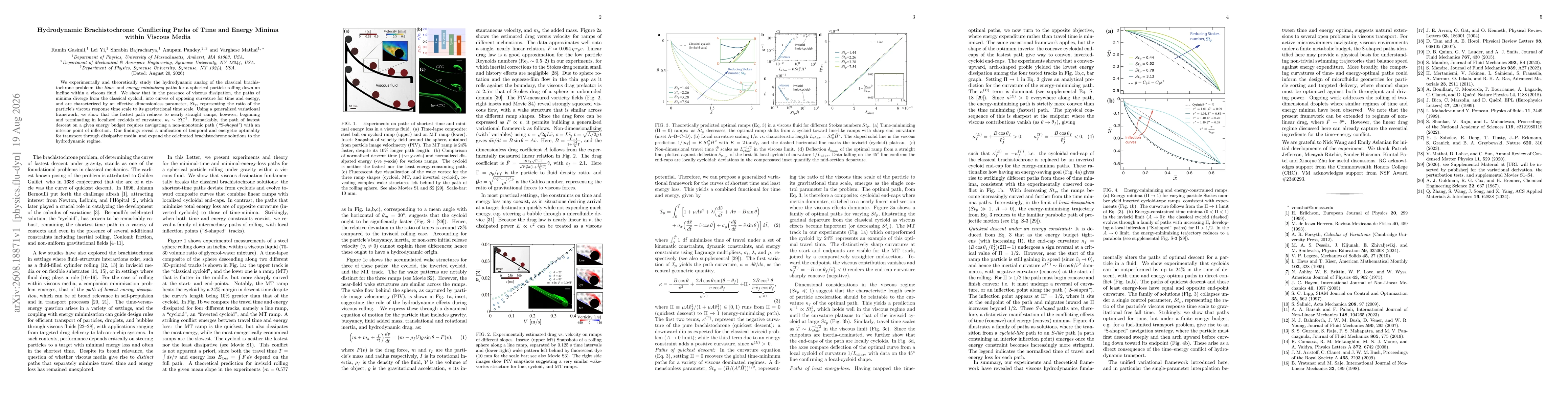 Thumbnail for Hydrodynamic Brachistochrone: Conflicting Paths of Time and Energy Minima within Viscous Media