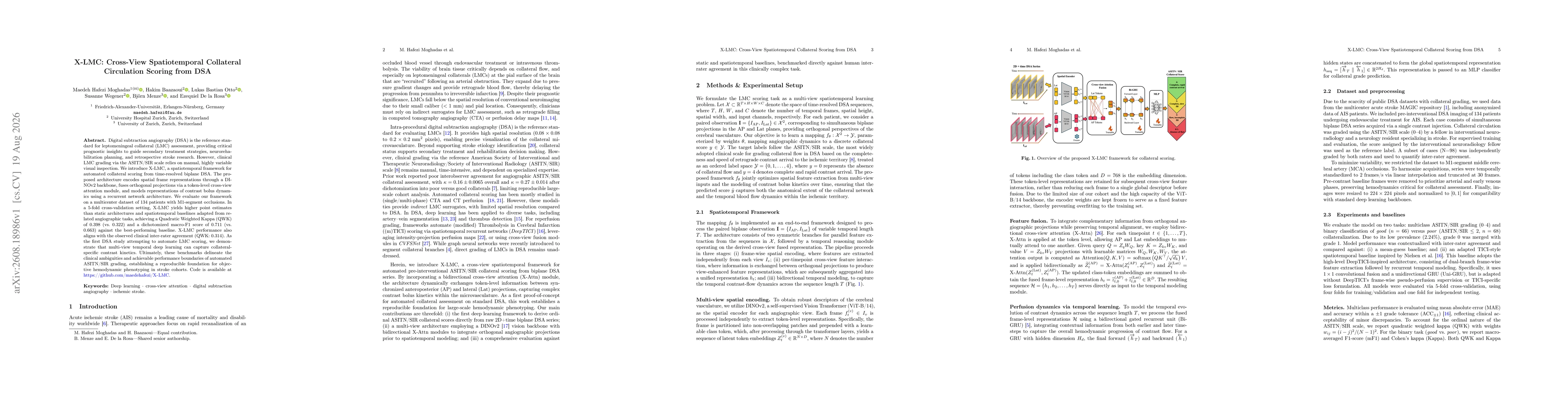 Thumbnail for X-LMC: Cross-View Spatiotemporal Collateral Circulation Scoring from DSA