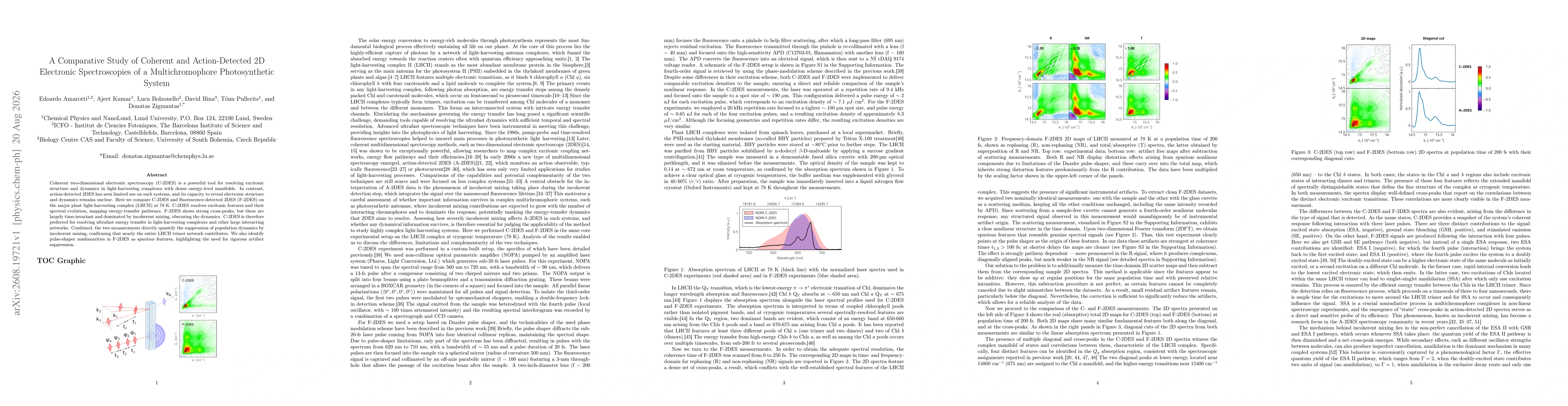Thumbnail for A Comparative Study of Coherent and Action-Detected 2D Electronic Spectroscopies of a Multichromophore Photosynthetic System