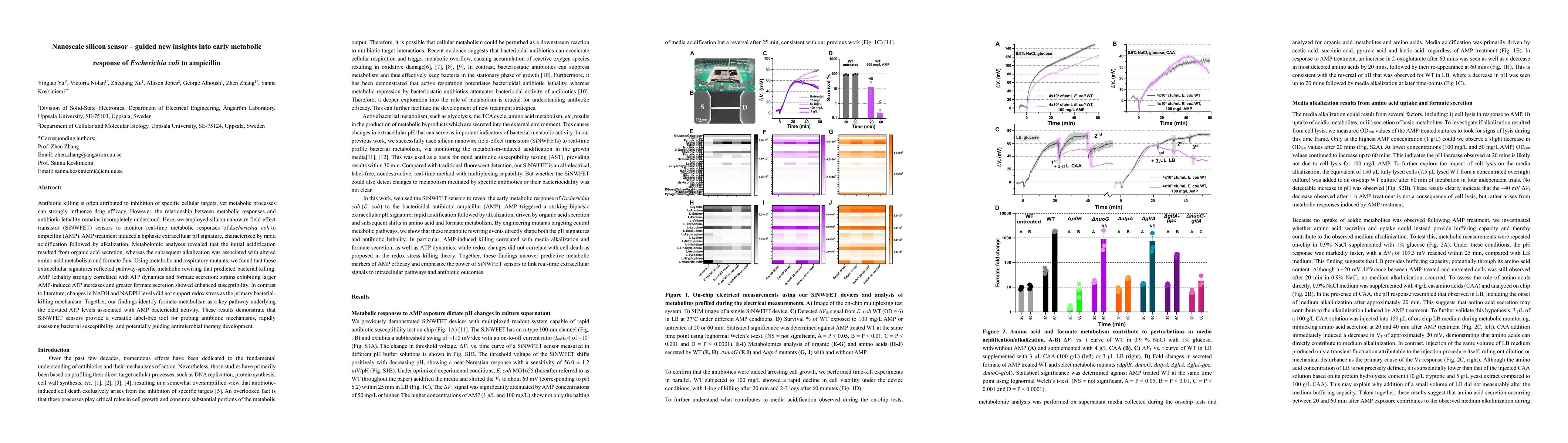 Thumbnail for Nanoscale silicon sensor - guided new insights into early metabolic response of Escherichia coli to ampicillin