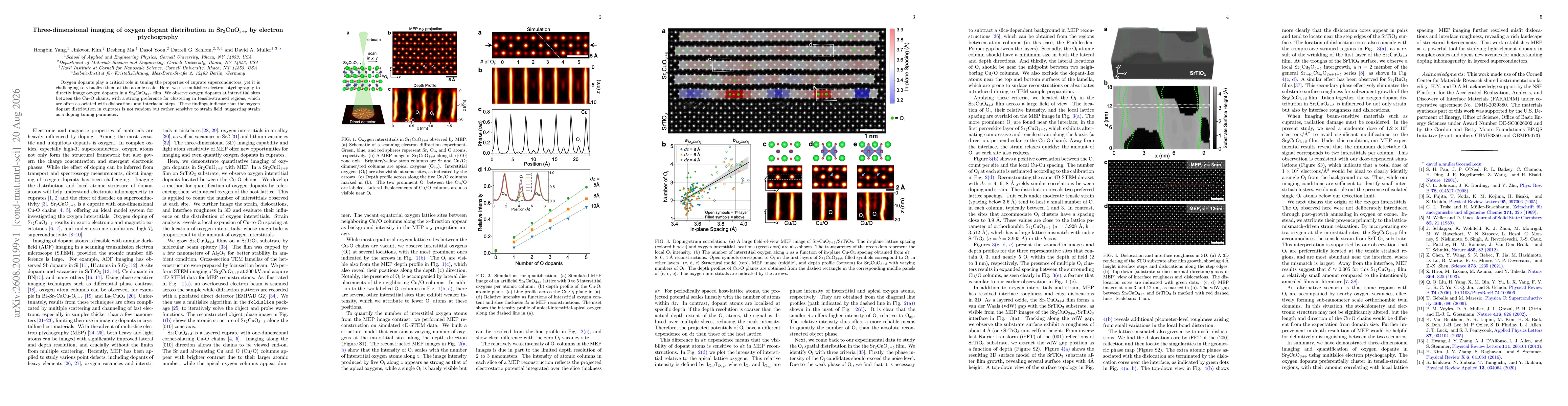 Thumbnail for Three-dimensional imaging of oxygen dopant distribution in Sr$_2$CuO$_{3+δ}$ by electron ptychography