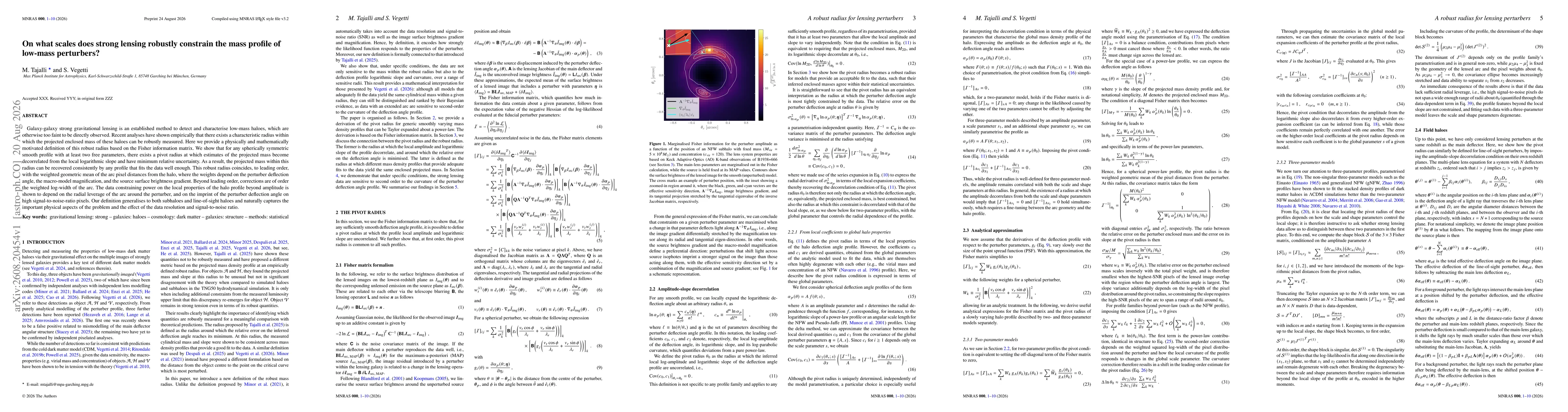 Thumbnail for On what scales does strong lensing robustly constrain the mass profile of low-mass perturbers?