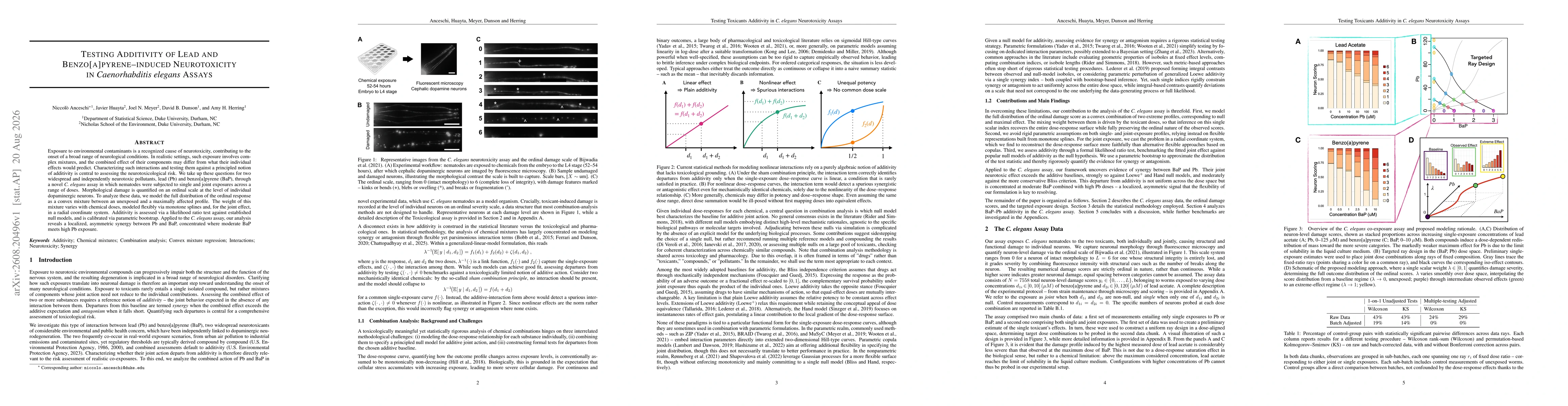 Thumbnail for Testing Additivity in Lead and Benzo[a]pyrene-induced Neurodegeneration in Caenorhabditis elegans