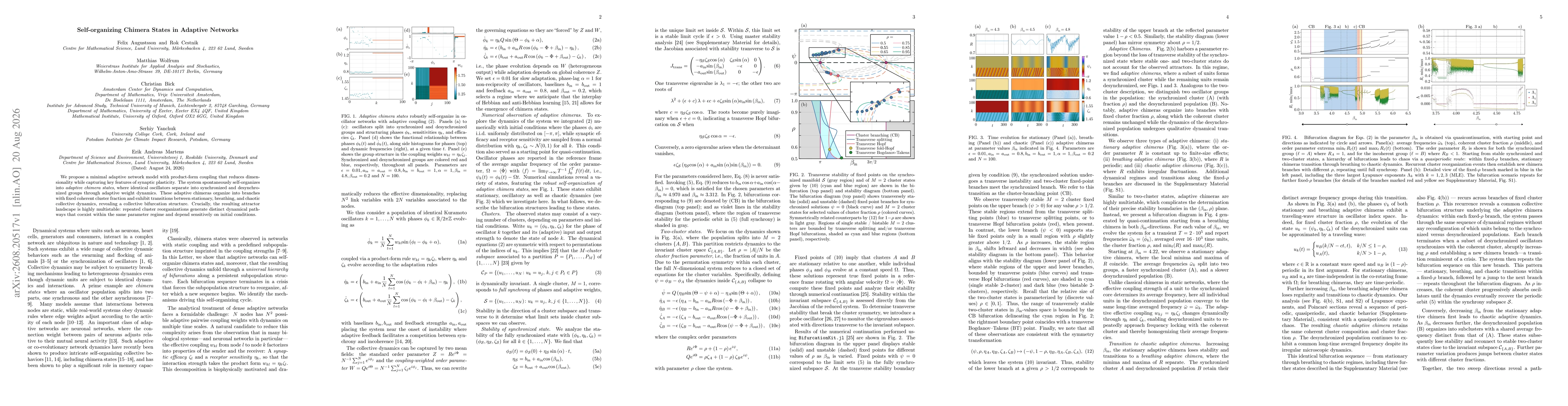 Thumbnail for Self-organizing Chimera States in Adaptive Networks