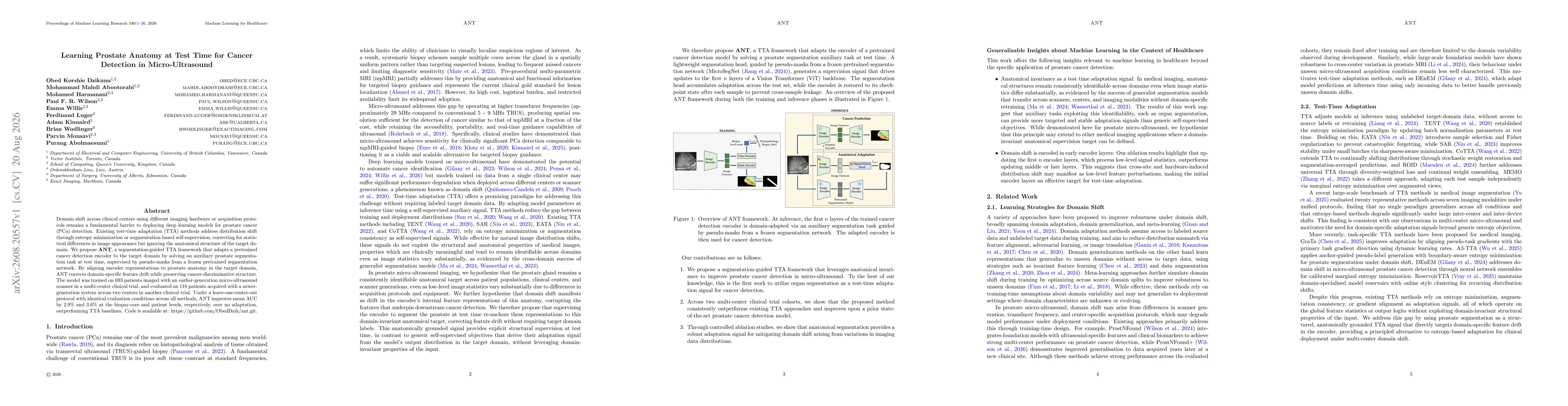 Thumbnail for Learning Prostate Anatomy at Test Time for Cancer Detection in Micro-Ultrasound