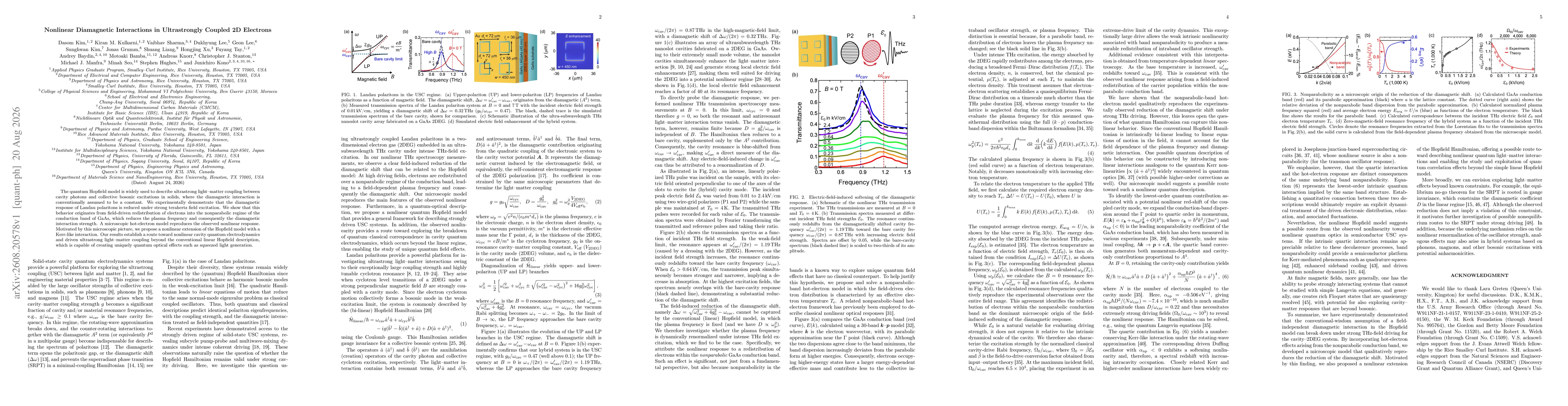 Thumbnail for Nonlinear Diamagnetic Interactions in Ultrastrongly Coupled 2D Electrons