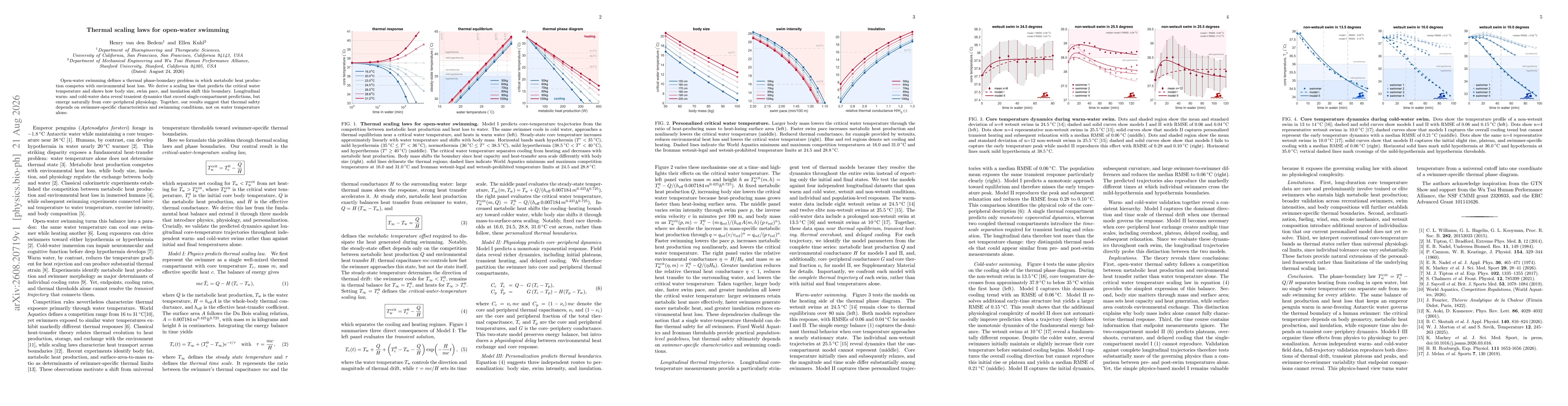 Thumbnail for Thermal scaling laws for open-water swimming