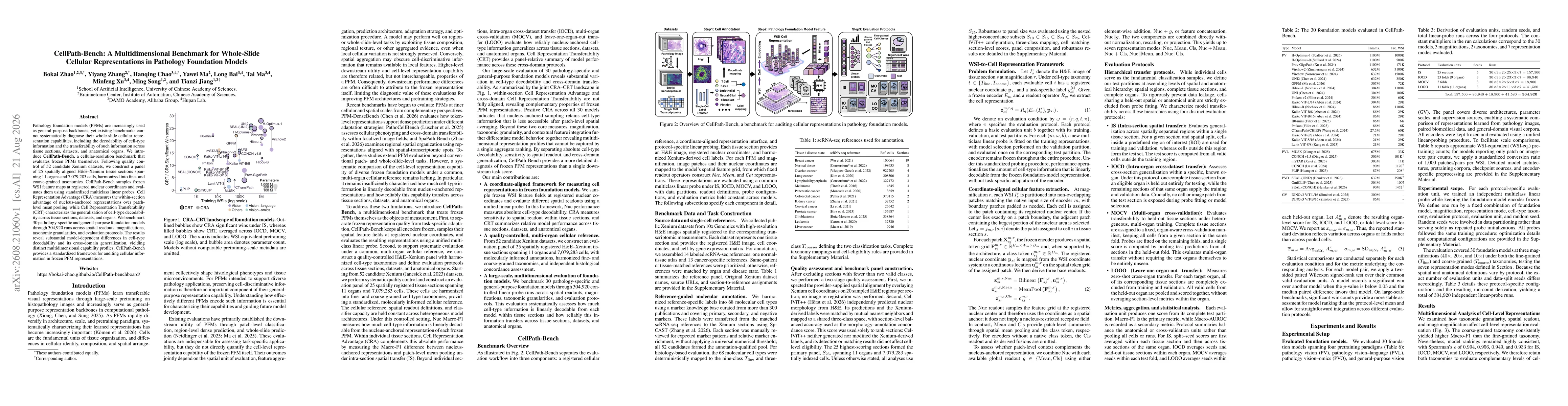 Thumbnail for CellPath-Bench: A Multidimensional Benchmark for Whole-Slide Cellular Representations in Pathology Foundation Models