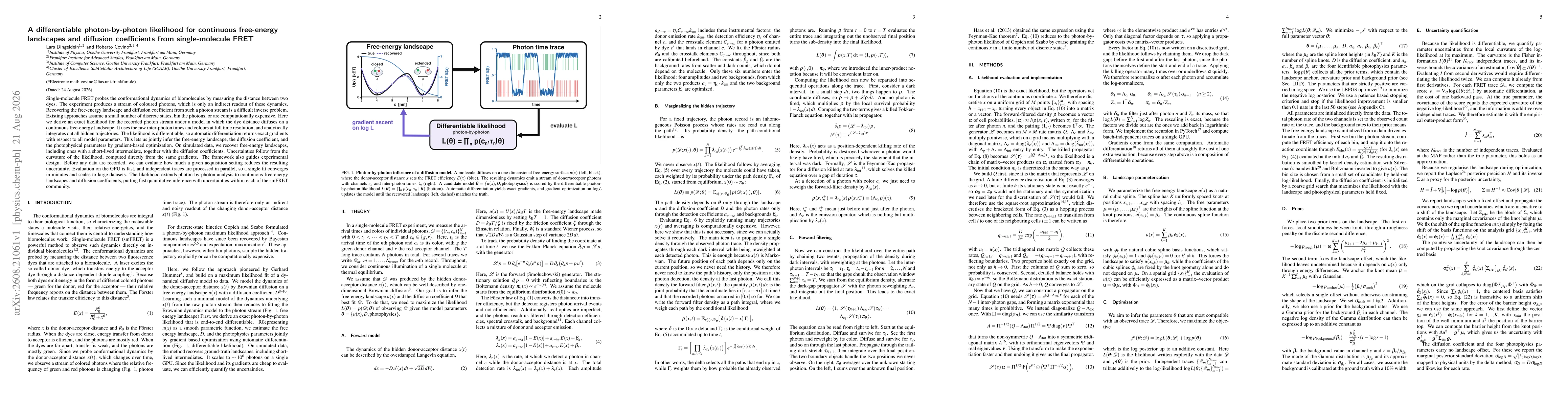 Thumbnail for A differentiable photon-by-photon likelihood for continuous free-energy landscapes and diffusion coefficients from single-molecule FRET