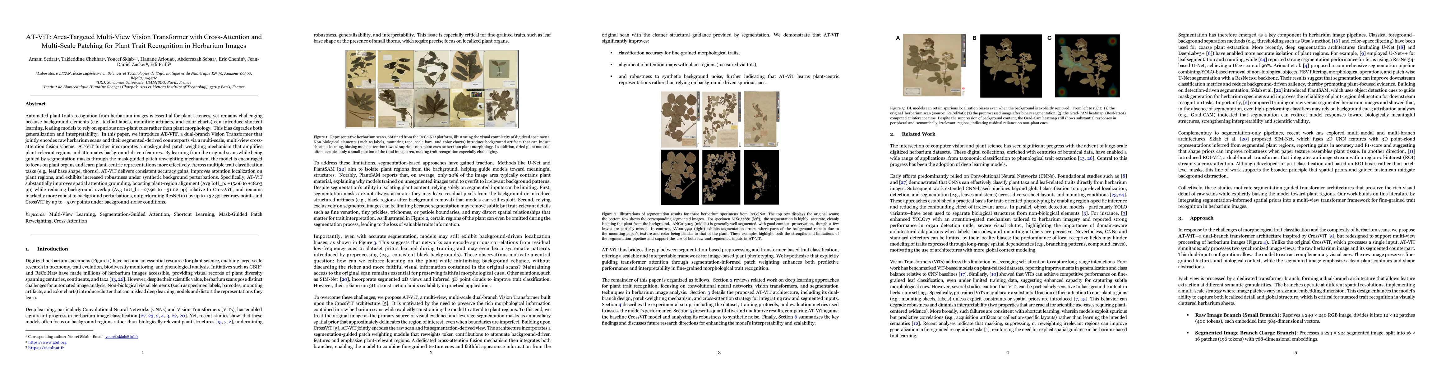 Thumbnail for AT-ViT: Area-Targeted Multi-View Vision Transformer with Cross-Attention and Multi-Scale Patching for Plant Trait Recognition in Herbarium Images