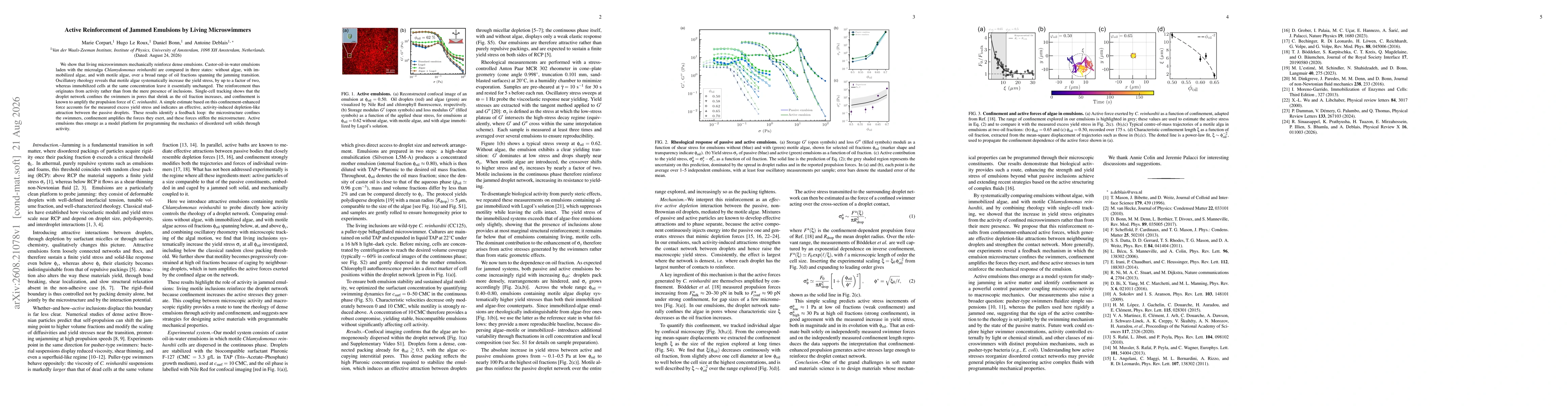 Thumbnail for Active Reinforcement of Jammed Emulsions by Living Microswimmers