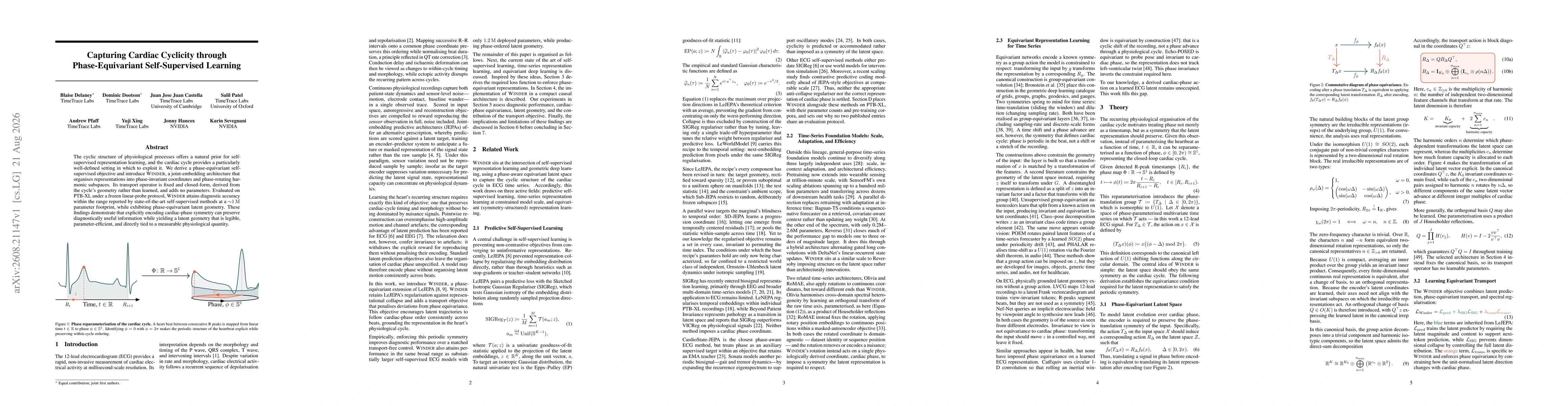 Thumbnail for Capturing Cardiac Cyclicity through Phase-Equivariant Self-Supervised Learning