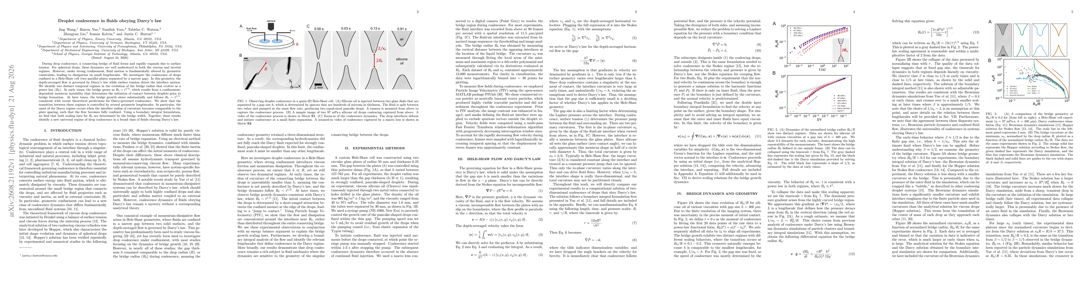 Thumbnail for Droplet coalescence in fluids obeying Darcy's law