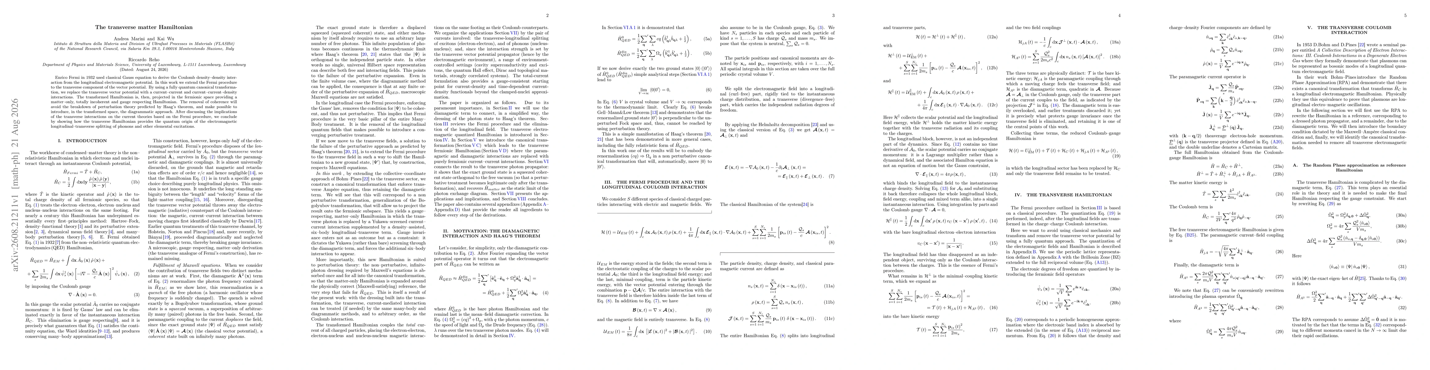 Thumbnail for The transverse matter Hamiltonian