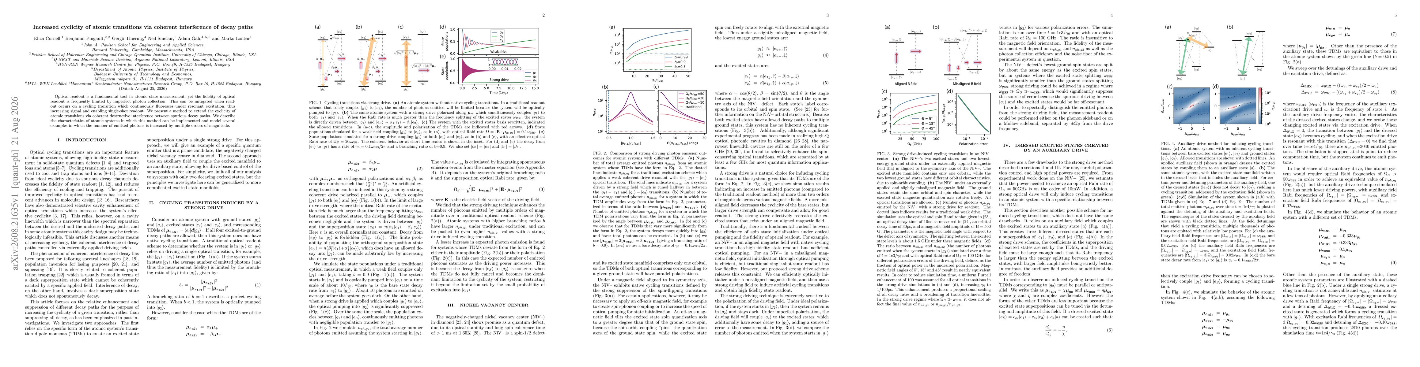 Thumbnail for Increased cyclicity of atomic transitions via coherent interference of decay paths