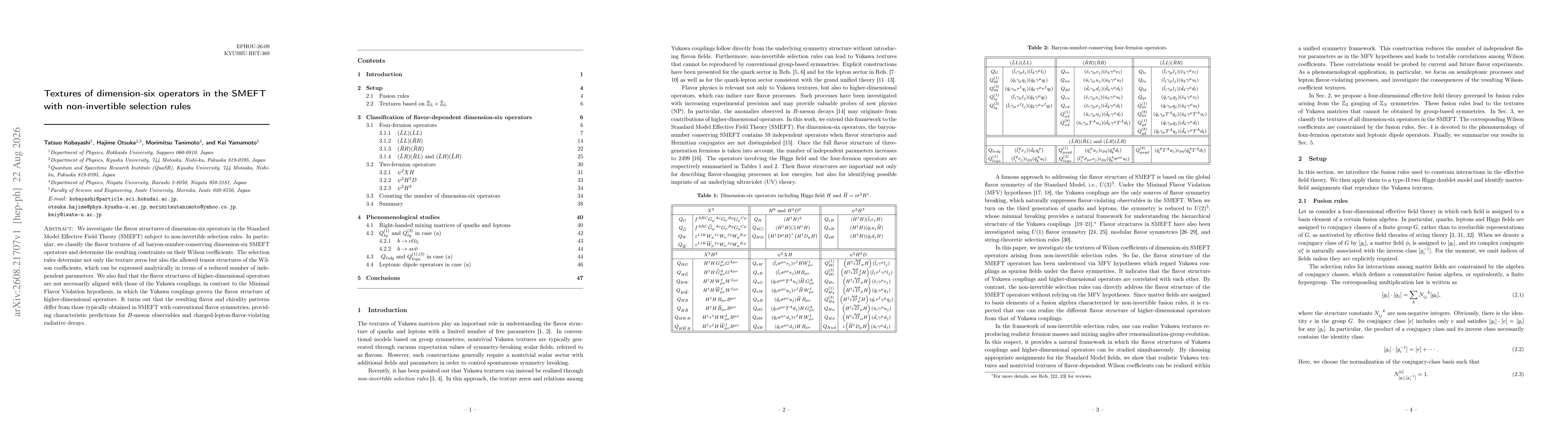 Thumbnail for Textures of dimension-six operators in the SMEFT with non-invertible selection rules