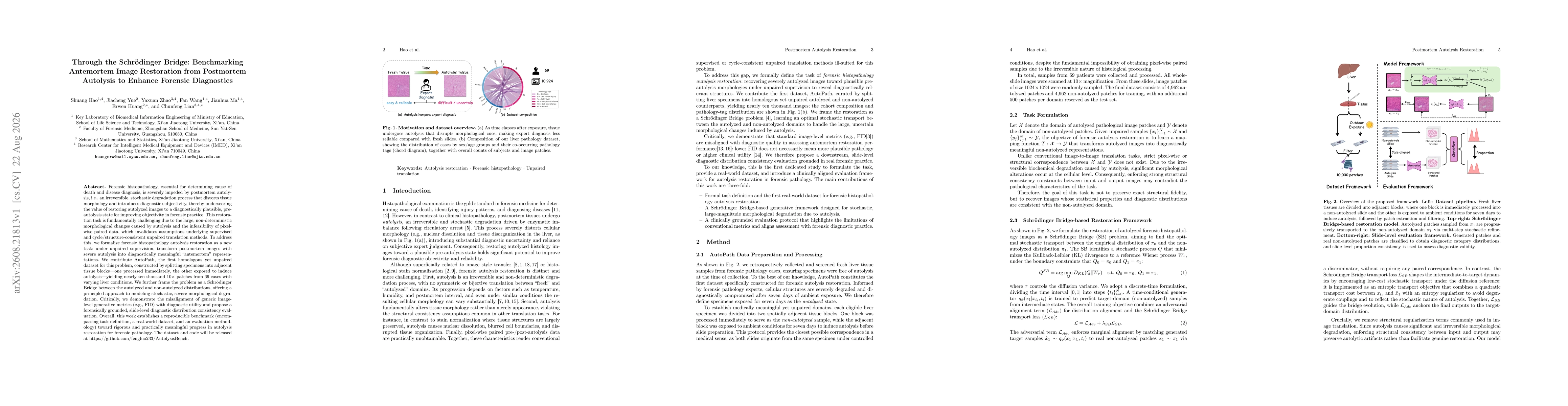 Thumbnail for Through the Schrödinger Bridge: Benchmarking Antemortem Image Restoration from Postmortem Autolysis to Enhance Forensic Diagnostics