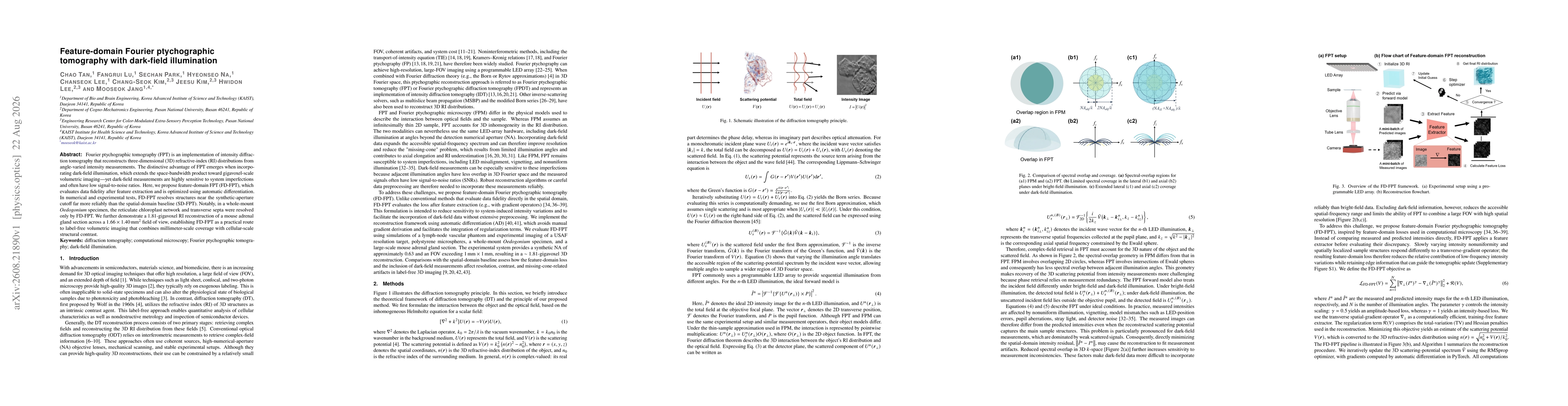 Thumbnail for Feature-domain Fourier ptychographic tomography with dark-field illumination