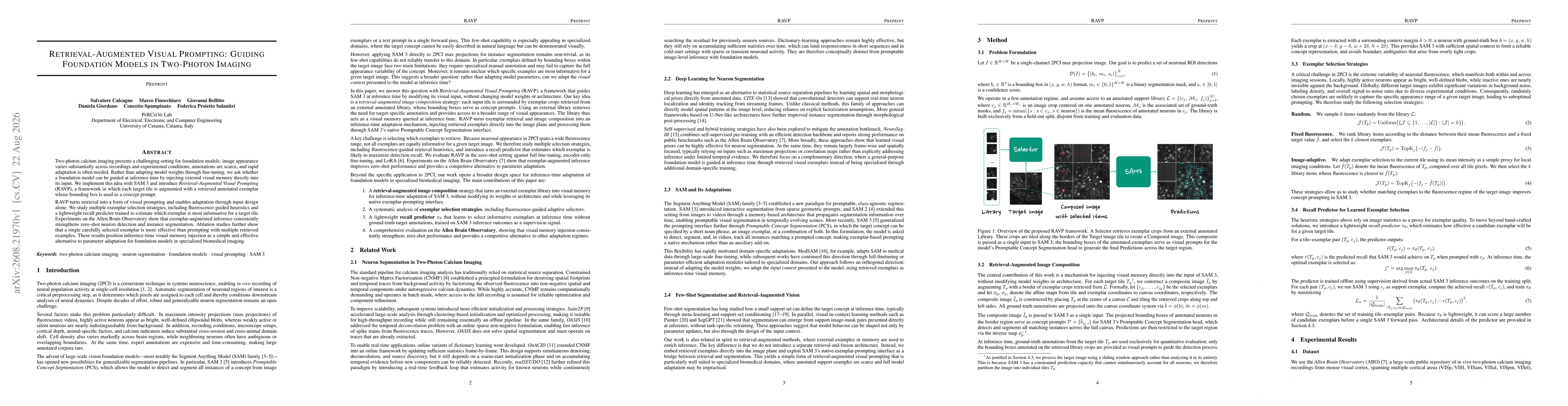 Thumbnail for Retrieval-Augmented Visual Prompting: Guiding Foundation Models in Two-Photon Imaging
