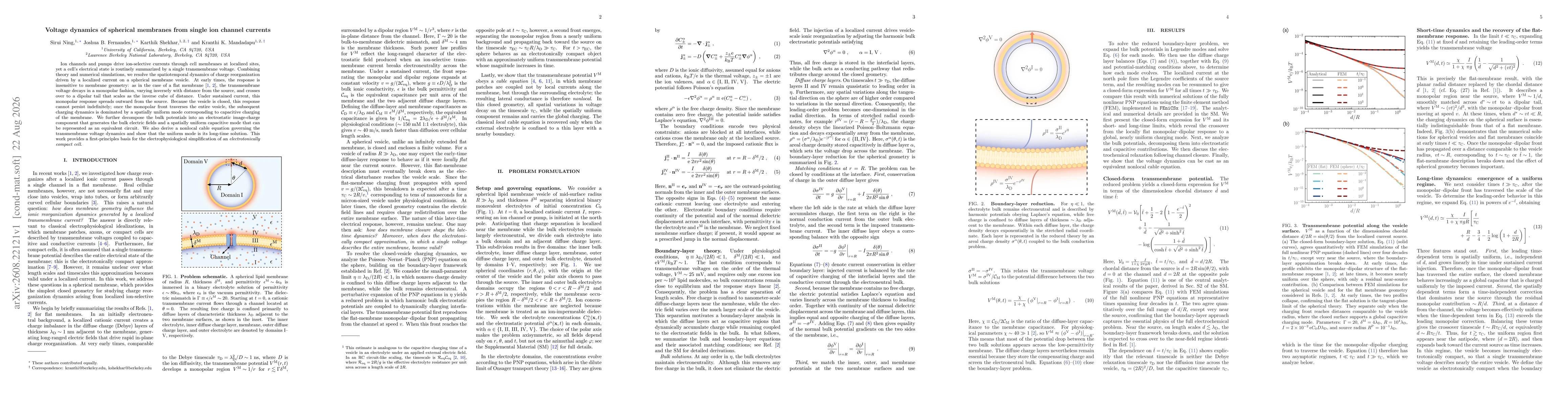 Thumbnail for Voltage dynamics of spherical membranes from single ion channel currents