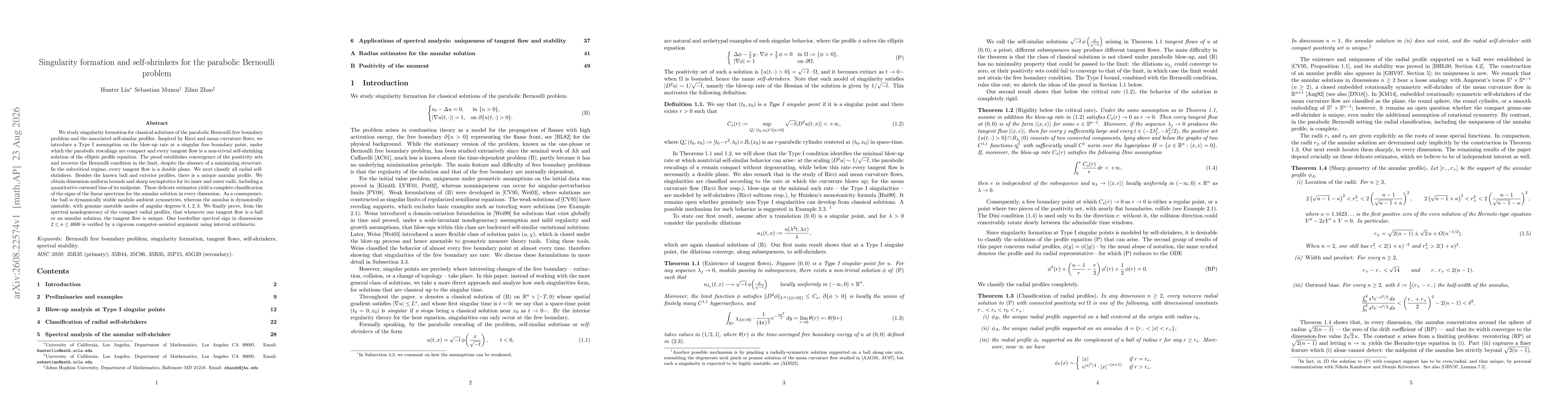 Thumbnail for Singularity formation and self-shrinkers for the parabolic Bernoulli problem