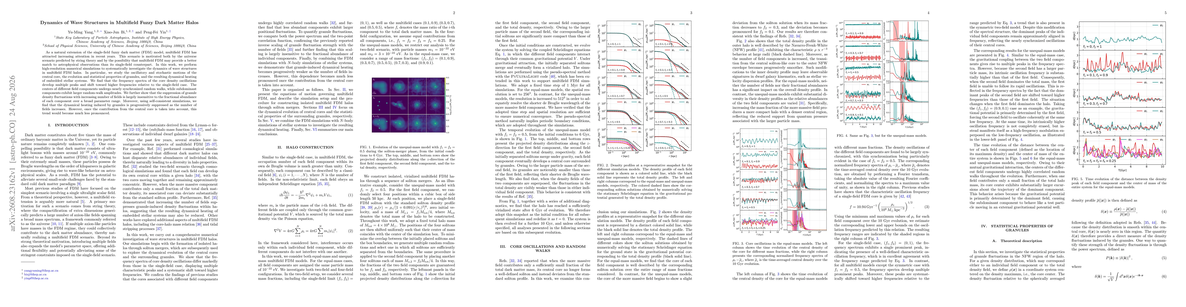 Thumbnail for Dynamics of Wave Structures in Multifield Fuzzy Dark Matter Halos