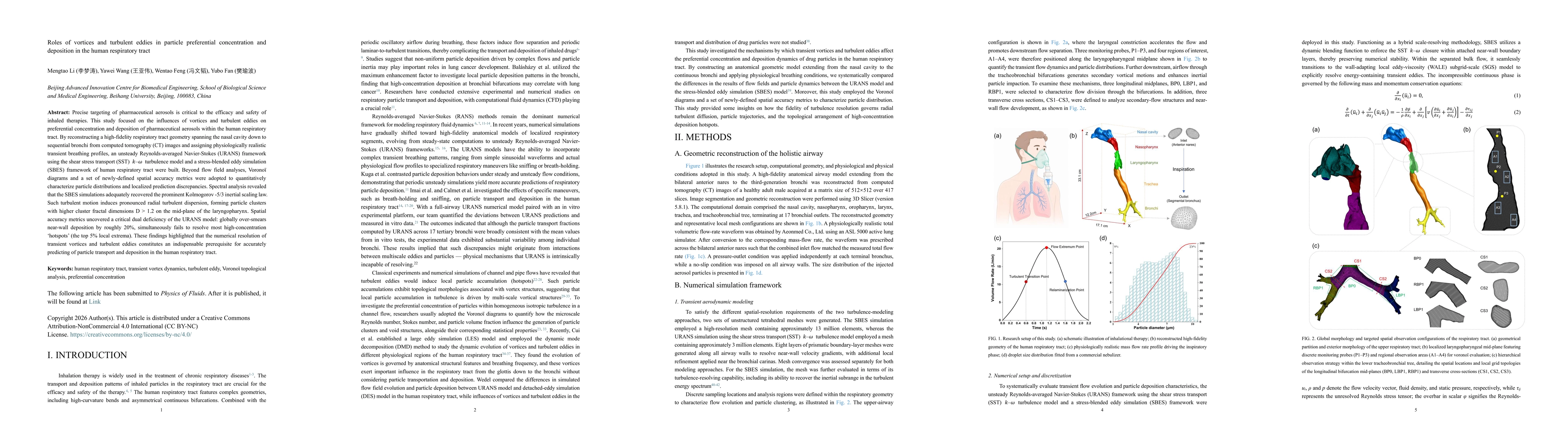 Thumbnail for Roles of vortices and turbulent eddies in particle preferential concentration and deposition in the human respiratory tract