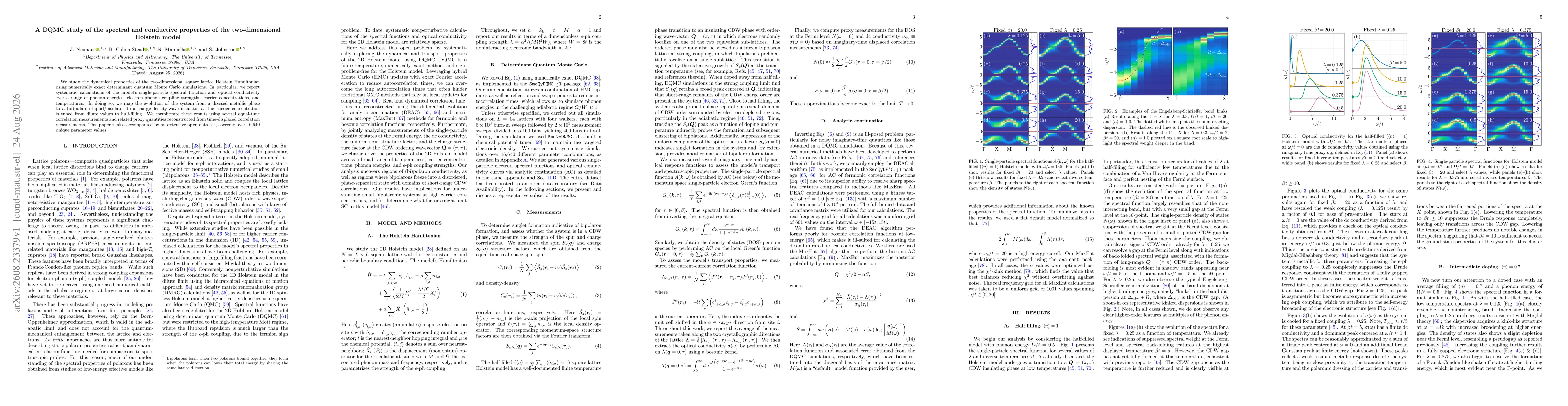Thumbnail for A DQMC study of the spectral and conductive properties of the two-dimensional Holstein model