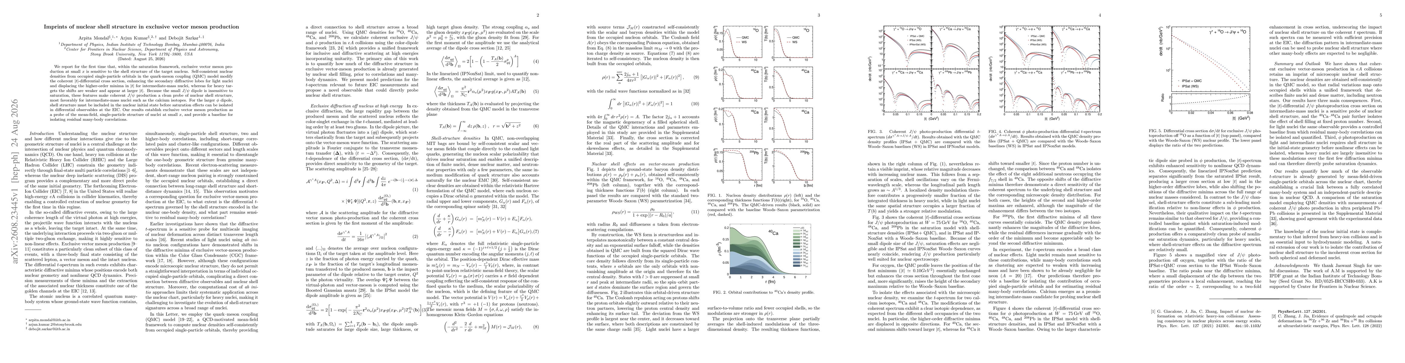 Thumbnail for Imprints of nuclear shell structure in exclusive vector meson production