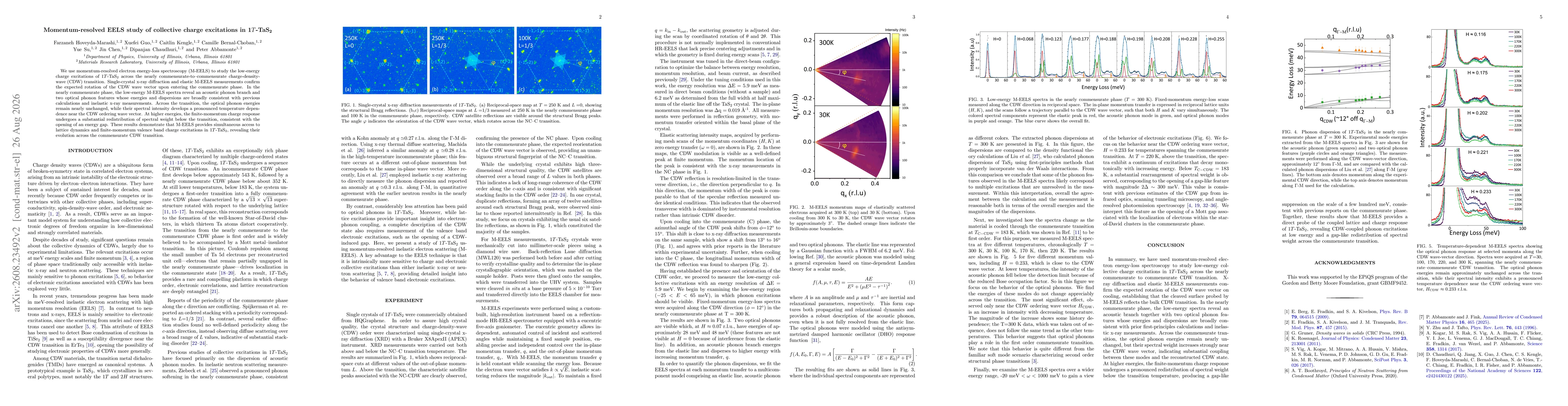 Thumbnail for Momentum-resolved EELS study of collective charge excitations in 1$T$-TaS$_2$