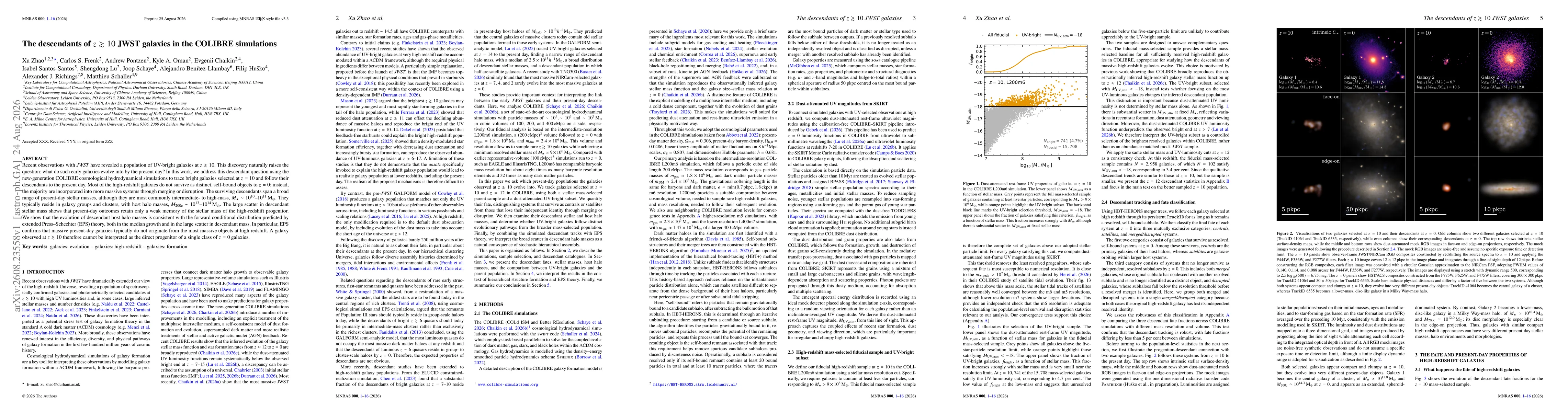 Thumbnail for The descendants of $z \gtrsim 10$ JWST galaxies in the COLIBRE simulations