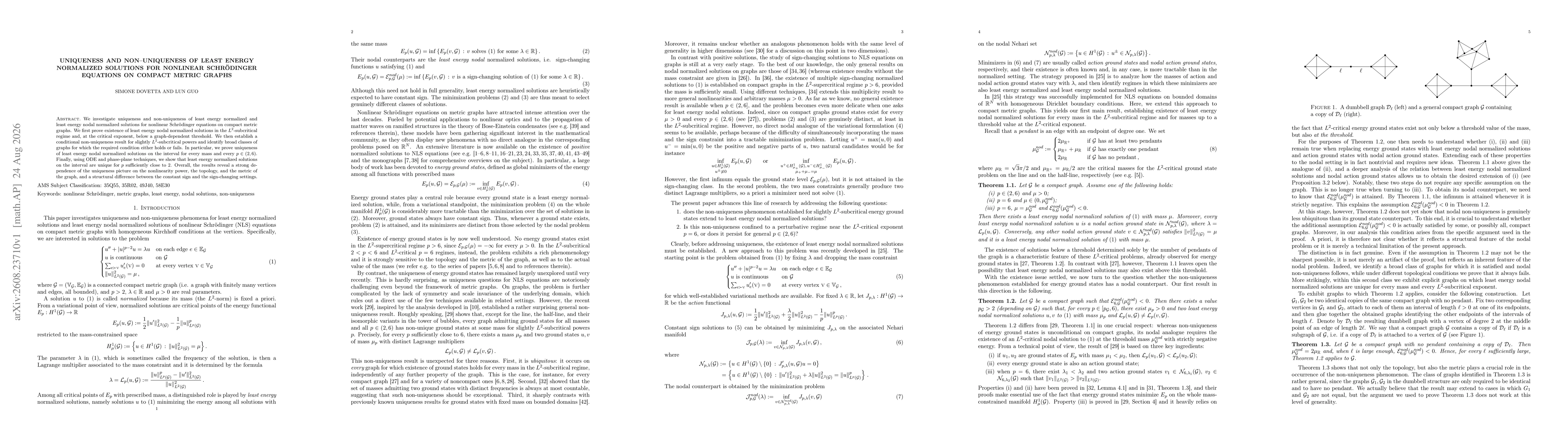 Thumbnail for Uniqueness and non-uniqueness of least energy normalized solutions for nonlinear Schrödinger equations on compact metric graphs