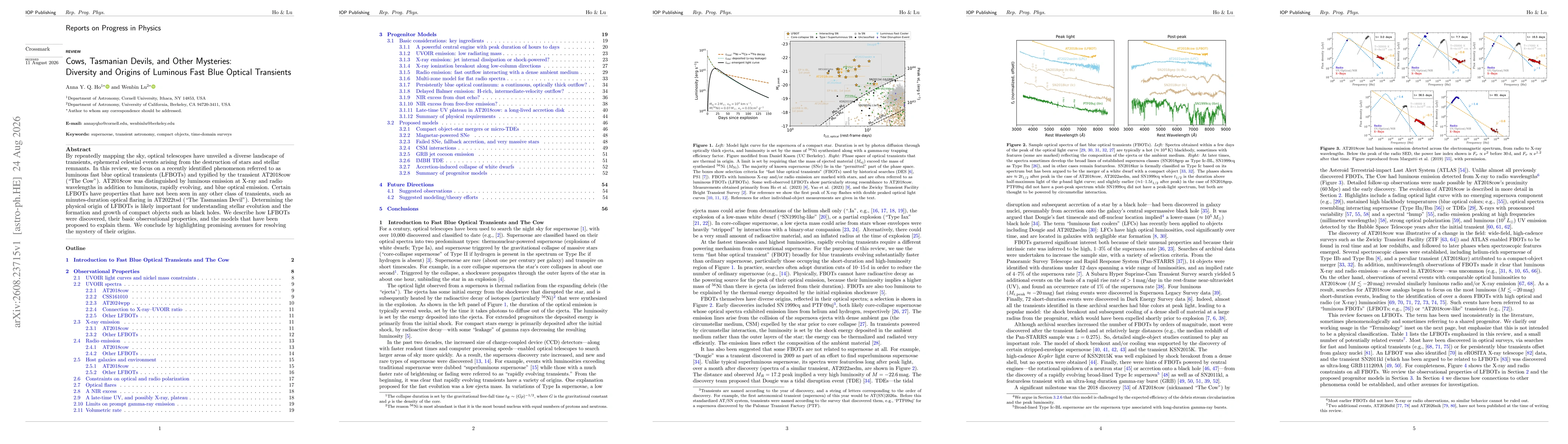 Thumbnail for Cows, Tasmanian Devils, and Other Mysteries: Diversity and Origins of Luminous Fast Blue Optical Transients
