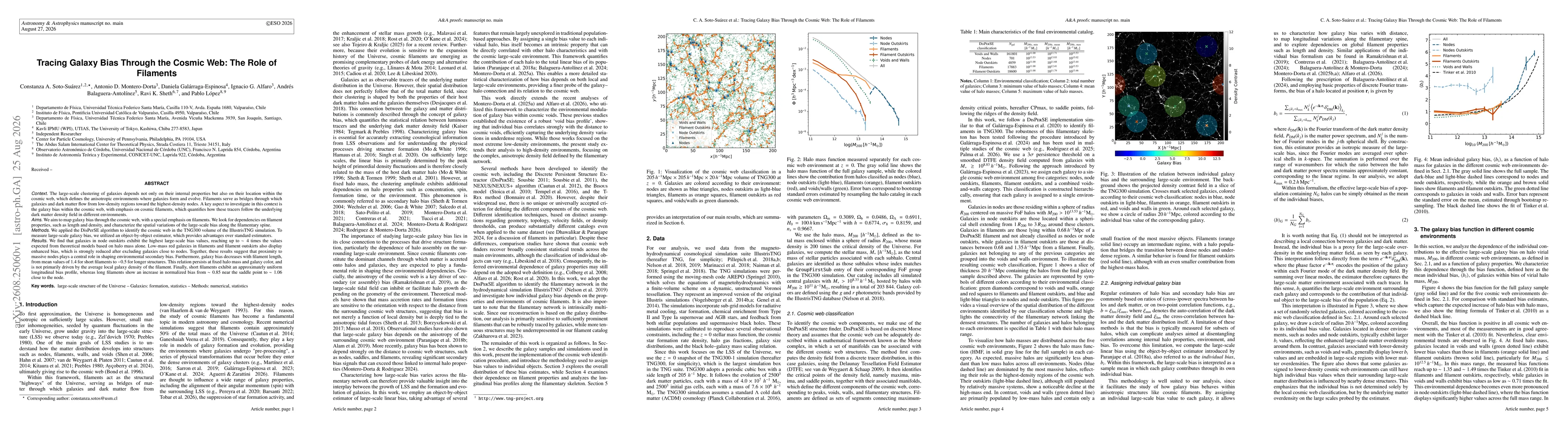 Thumbnail for Tracing Galaxy Bias Through the Cosmic Web: The Role of Filaments