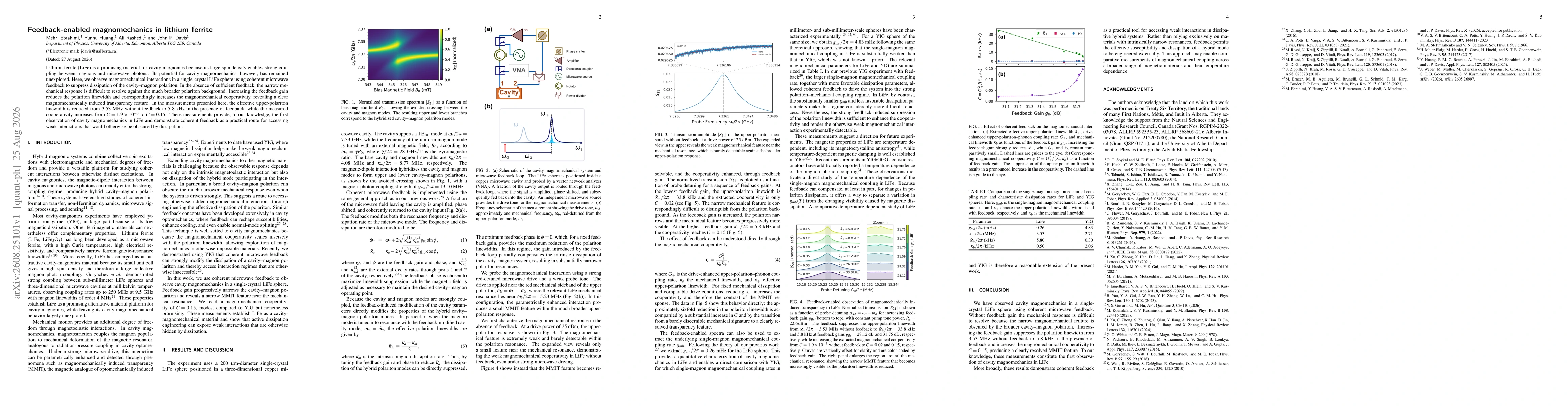 Thumbnail for Feedback-enabled magnomechanics in lithium ferrite