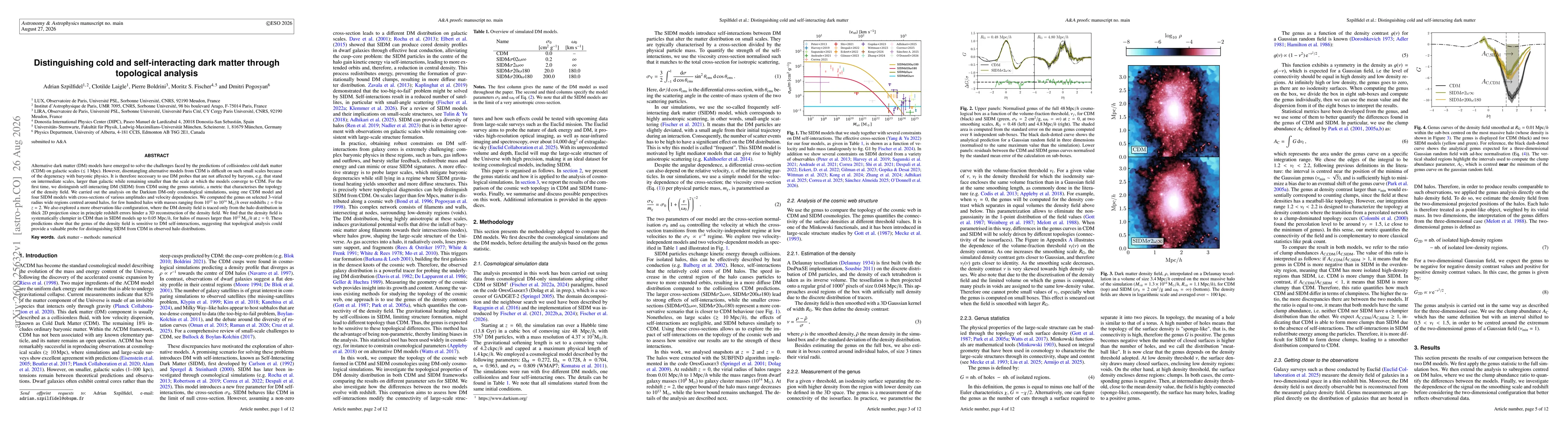 Thumbnail for Distinguishing cold and self-interacting dark matter through topological analysis