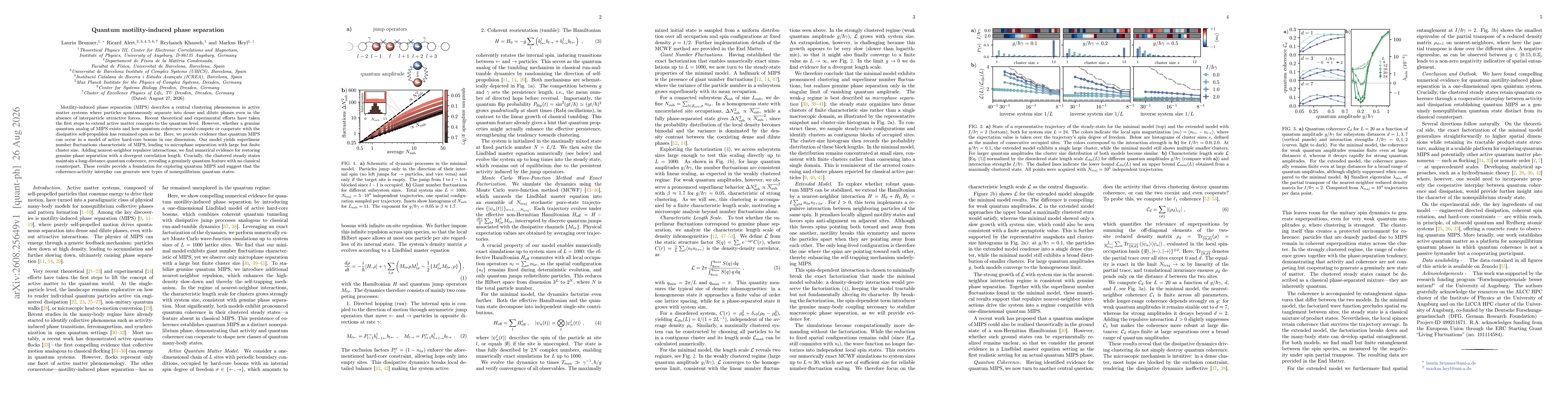 Thumbnail for Quantum motility-induced phase separation