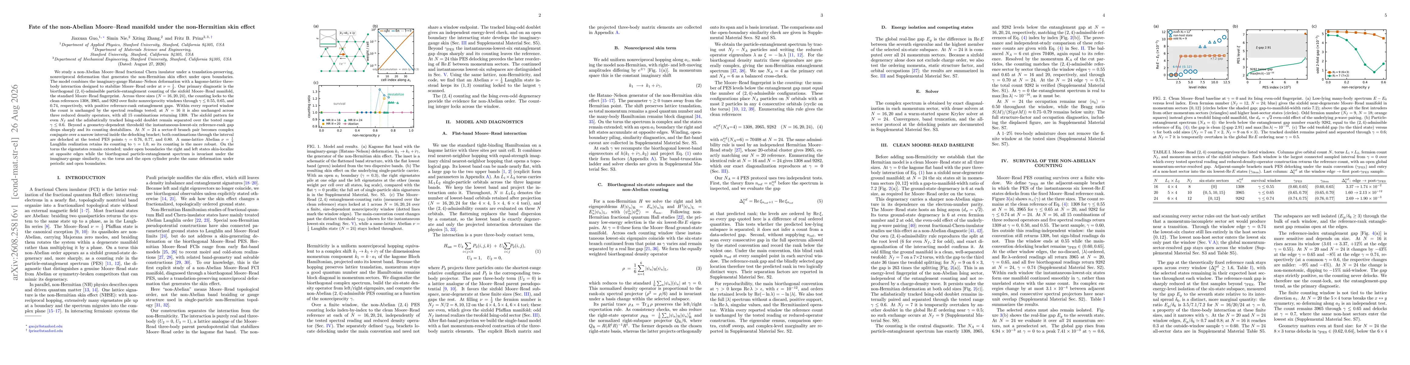 Thumbnail for Fate of the non-Abelian Moore-Read manifold under the non-Hermitian skin effect
