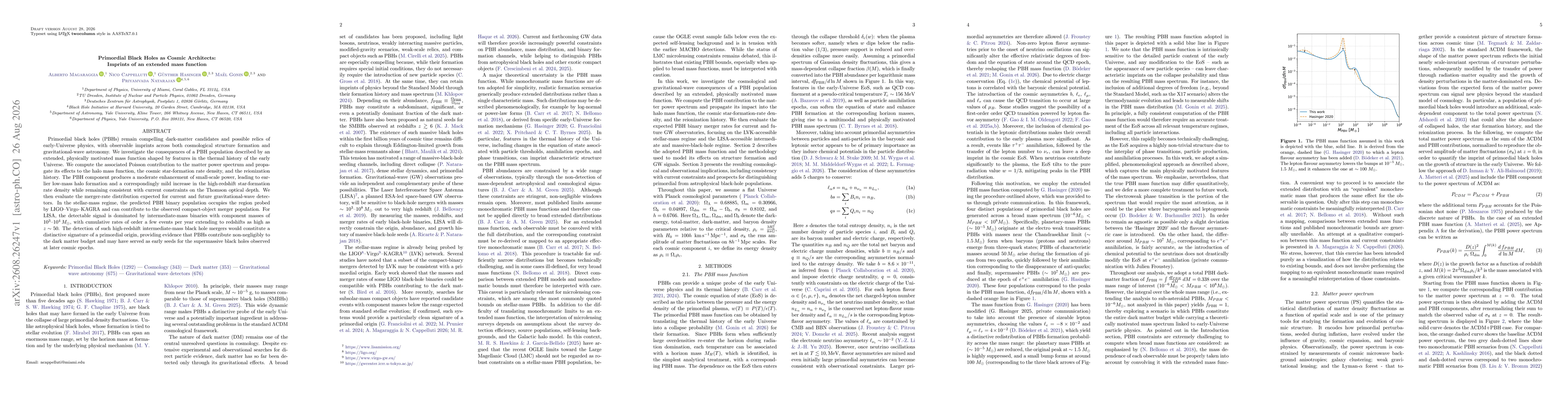Thumbnail for Primordial Black Holes as Cosmic Architects: Imprints of an extended mass function
