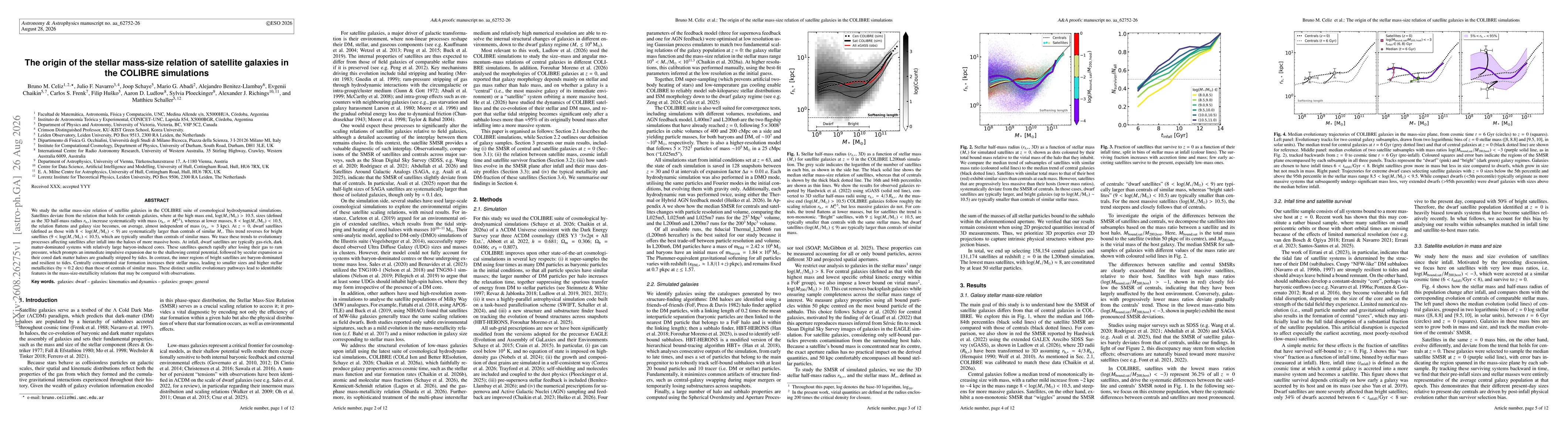 Thumbnail for The origin of the stellar mass-size relation of satellite galaxies in the COLIBRE simulations