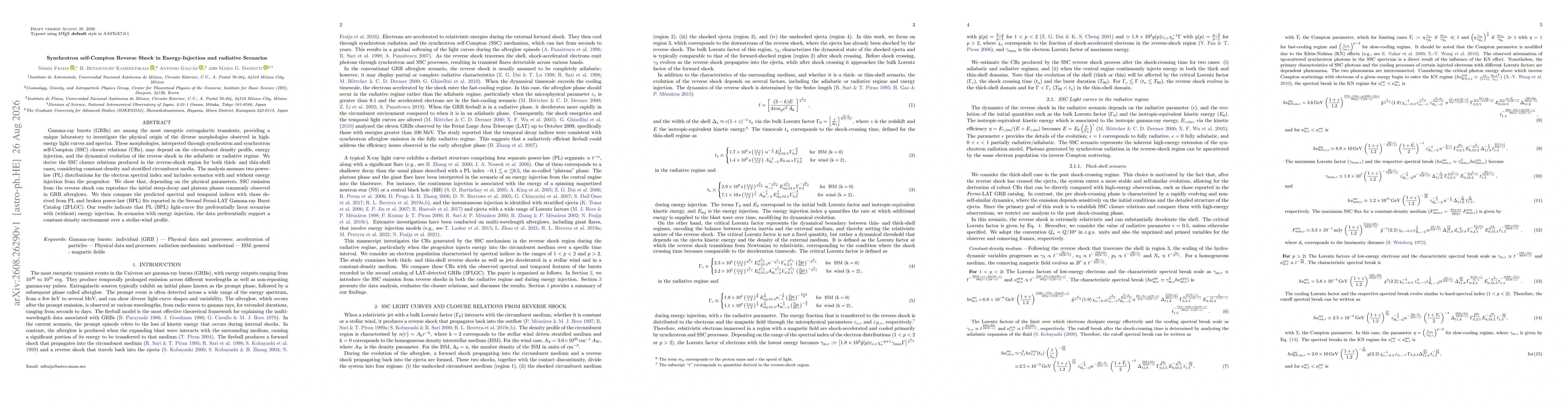 Thumbnail for Synchrotron self-Compton Reverse Shock in Energy-Injection and Radiative Scenarios