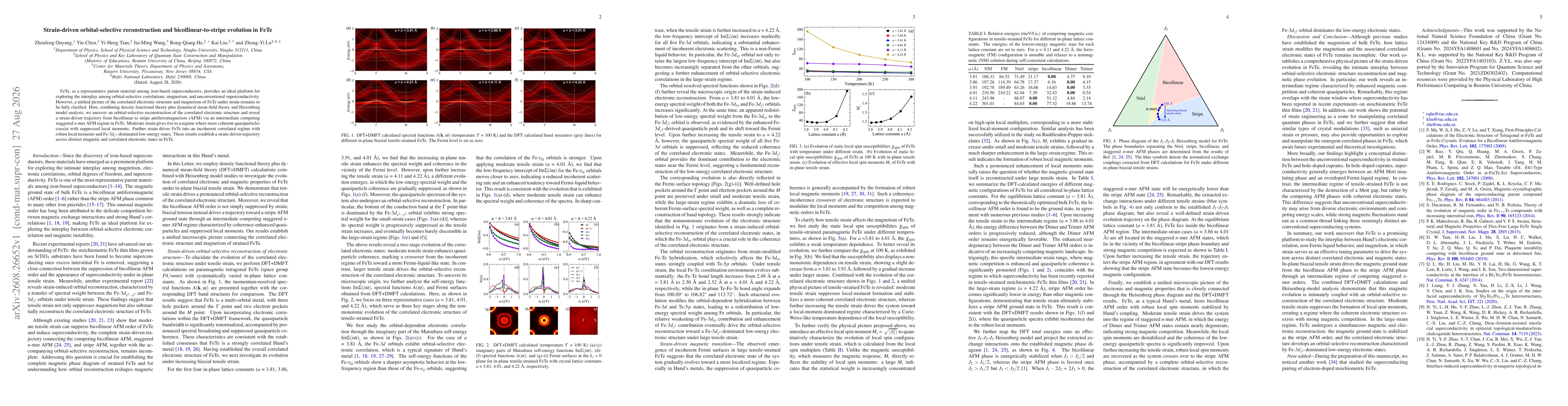 Thumbnail for Strain-driven orbital-selective reconstruction and bicollinear-to-stripe evolution in FeTe